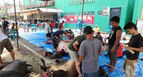 Di Hari Raya Idul Adha 1447 H, Masjid Ar Ridha Sembelih 12 Ekor Sapi dan 5 Ekor Kambing