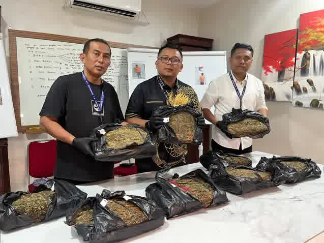 Polrestabes Medan Sergap Bandar Narkoba di Deli Serdang, 9,4 Kg Ganja Kering Jadi Barang Buktinya
