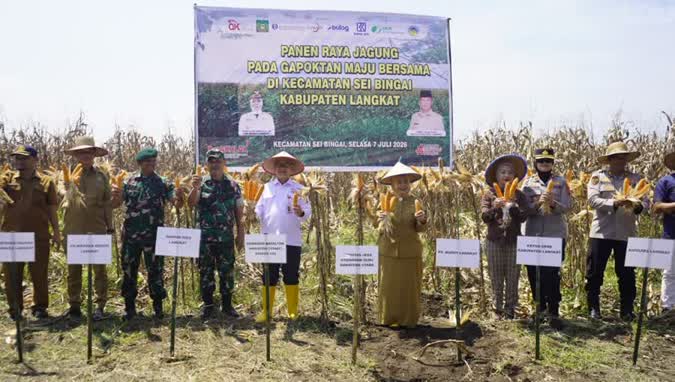 OJK Sumut Dorong Klaster Kemitraan Jagung Langkat Untuk Perluas Akses Pembiayaan Petani