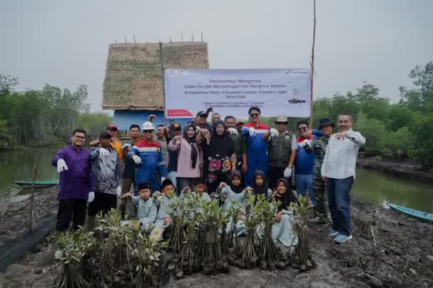 Peringati Hari Mangrove Sedunia, Pertamina EP Pangkalan Susu Tanam 2500 Bibit Bakau