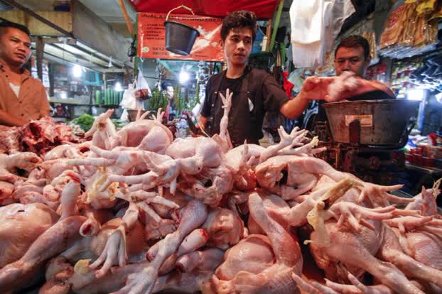KPPU Cermati Kenaikan Harga Daging Ayam Ras di Sumut